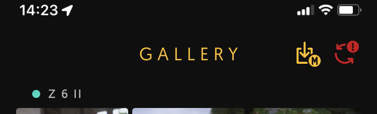 Gallery.jpg